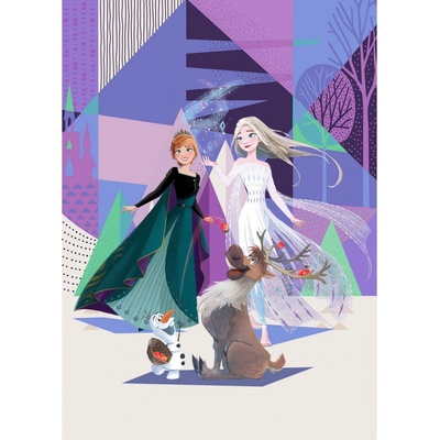 Komar Vliesová fototapeta Frozen Abstract Arendelle rozměry 200 x 280 cm