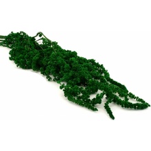Stabilizovaný Amaranth zelený
