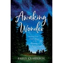 Awaking Wonder