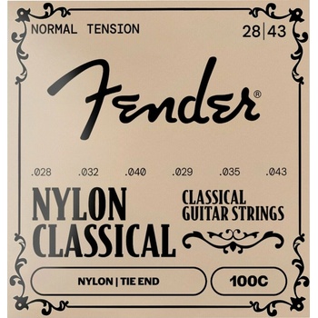Fender 100