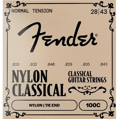 Fender 100