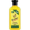 XPel Banana Shampoo šampon s vůní banánů 400 ml