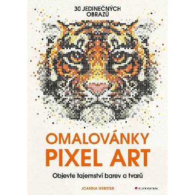 Omalovánky Pixel Art - Tajemství barev a tvarů - Webster Joanna