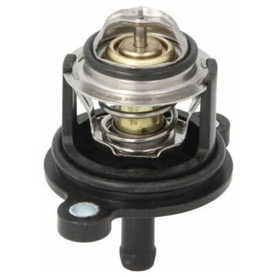 THERMOTEC Termostat, chladivo D2G020TT