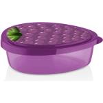 Qlux IDEAS IRIS L-00920 Кутия за съхранение на къпини 800ml (L-00920)