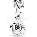 Pandora 793213C00