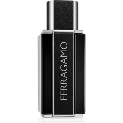 Ferragamo Sublime Leather parfumovaná voda pánska 50 ml