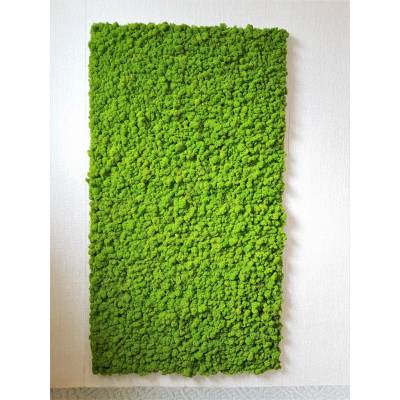 Mechový panel 180cm x 100cm