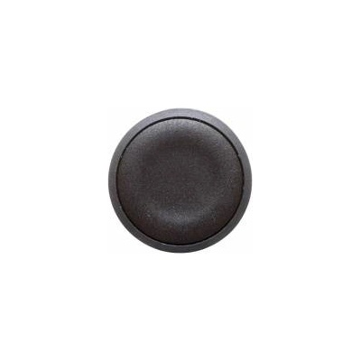 Schneider Electric Control button 22mm black with self-return 1Z XB5AA21