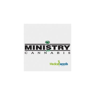 Ministry of Cannabis God's Glue semena neobsahují THC 2 ks – Sleviste.cz