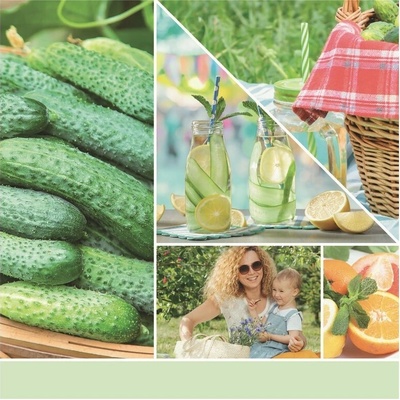 Yankee Candle Signature Cucumber Mint Cooler 567 g