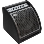 Soundking DS50