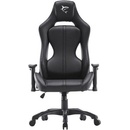 Image 1 of White Shark MONZA