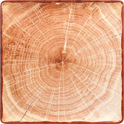 RAK Woodart talíř čtvercový 30 x 30 cm světle hnědá WDEDSQ30TB-6