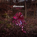 Dinosaur - Wonder Trail CD