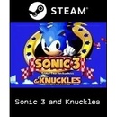 Sonic 3 and Knuckles