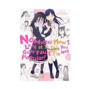 No Matter How I Look at It, It's You Guys' Fault I'm Not Popular! , Vol. 12 (ISBN: 9781975328177)