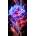 Norimpex - Puzzle Diamant painting: White rose 30x40cm - 1 - 39 piese