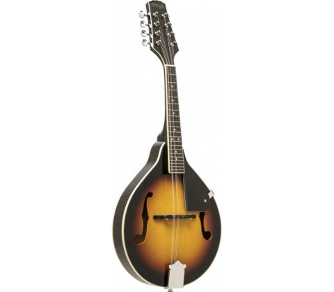 Stagg M20 S