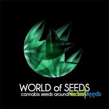 World of Seeds Appalachian Kush semena neobsahují THC 7 ks