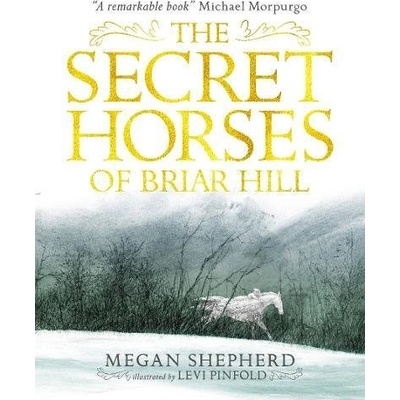 Secret Horses of Briar Hill Shepherd Megan