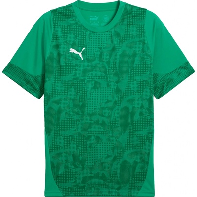 Puma teamCUP Training Jersey 659167-05
