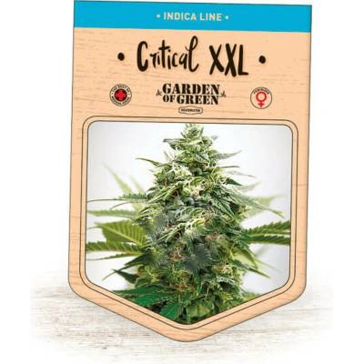 Garden Of Green Seedbank Critical XXL semena neobsahují THC 3 ks
