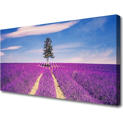 Obraz Canvas Pole levanduľa lúka strom 100x50 cm