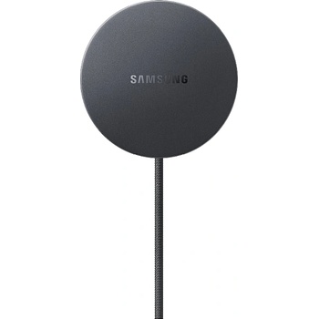 Samsung EP-P2900BBEGWW