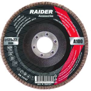 Raider Диск ламелен 125mm А-60 (0164119)