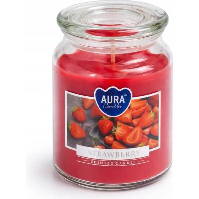 Nohel Garden JAHODA 500 g