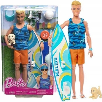 Barbie Ken Surfer s doplnkami