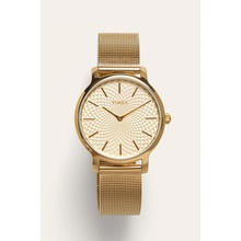 Timex TW2R36100