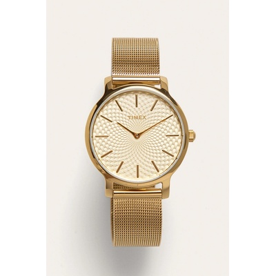 Timex TW2R36100
