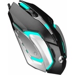 Everest SM-G72 (24123)