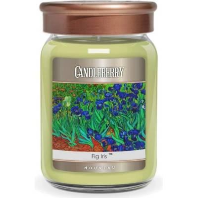 Candleberry NOUVEAU Fig Iris 624 g