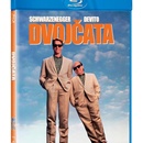Dvojčata BD