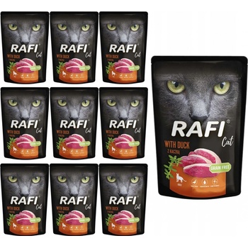 Rafi Cat kačacie 10 x 100 g