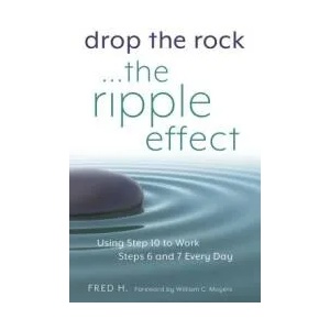 Drop The Rock. . . The Ripple Effect (ISBN: 9781616496005)