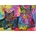 Heye - Puzzle Dean Russo - Devoted 2 Cats - 1 000 piese