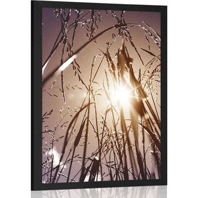 Plakát polní tráva - 20x30 black