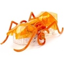 Hexbug Mikrorobot Micro Ant oranžový