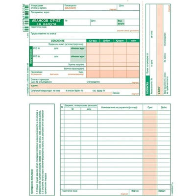 Авансов отчет за валута, офсет А5 100 л (112105028-1-1462-ОФСЕТ)