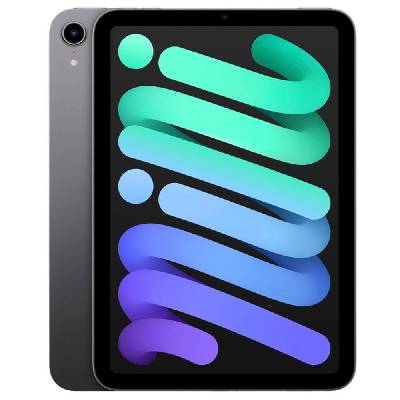 Apple iPad mini (2021) 64GB Wi-Fi Space Gray MK7M3FD/A