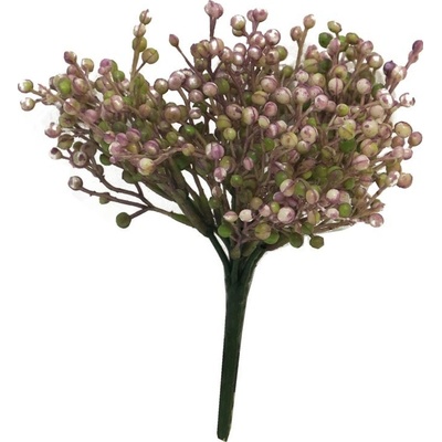 Bobule keř 'Albi' fialový 24 cm