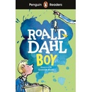 Boy - Roald Dahl