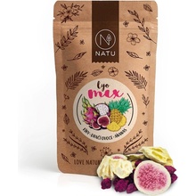 NATU Lyo mix figy a dračie ovocie 35 g