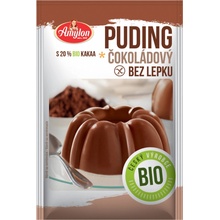 Amylon Bio Puding Čokoládový 40 g