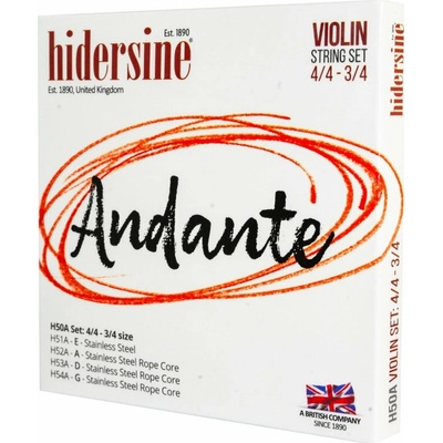 Hidersine Andante Violin Set 4/4 - 3/4