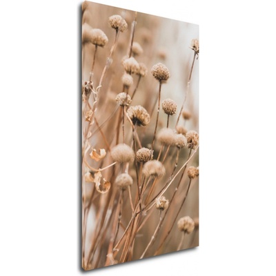 Impresi Obraz Skandinávský styl suchá tráva - 30 x 50 cm